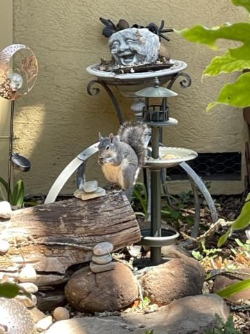 Glen Ellen Inn Secret Cottages ภายนอก รูปภาพ