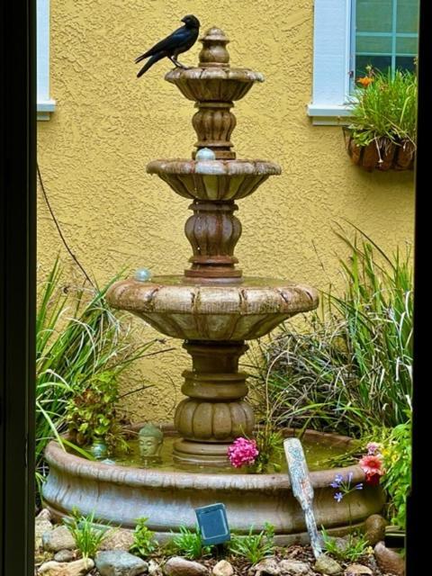 Glen Ellen Inn Secret Cottages ภายนอก รูปภาพ