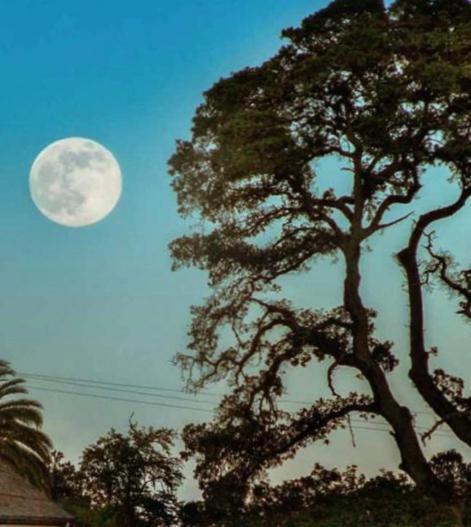 Glen Ellen Inn Secret Cottages ภายนอก รูปภาพ