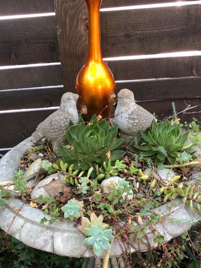 Glen Ellen Inn Secret Cottages ภายนอก รูปภาพ